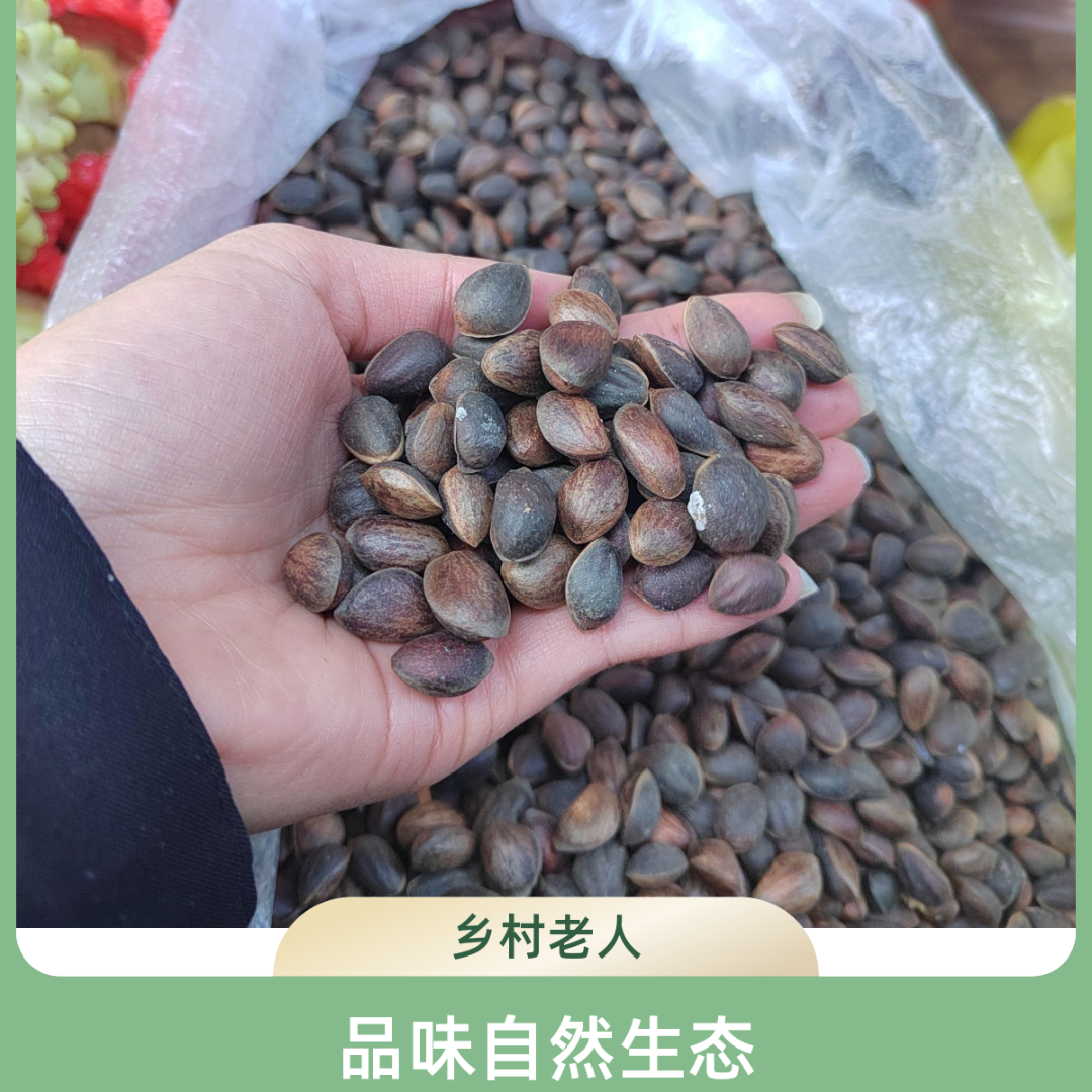 云南带壳松子原味干货散装颗粒饱满