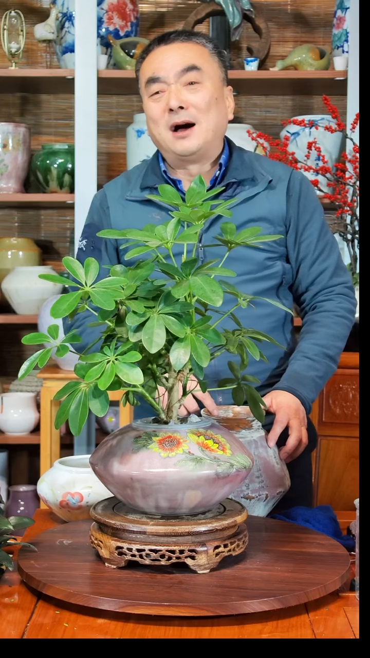 无花朵摆*水之韵水培瓷器瓶