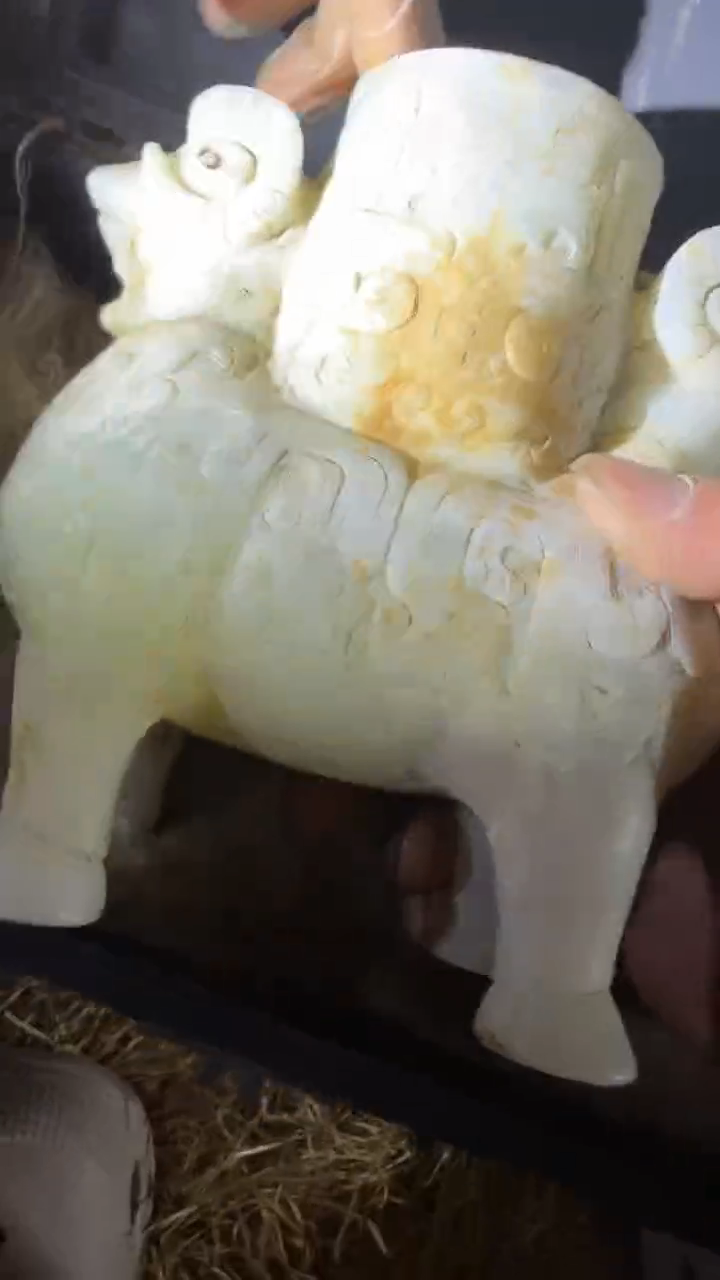 香榧木1个小小雨链接1号