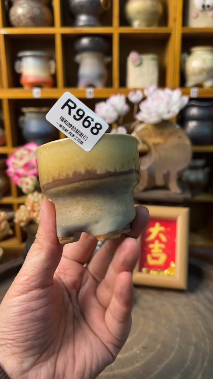 968 内口5【多肉花盆多肉盆】