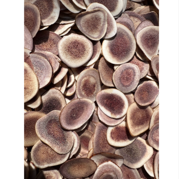 【静静推荐】2鹿茸片10g干片小片精选可搭红枸杞