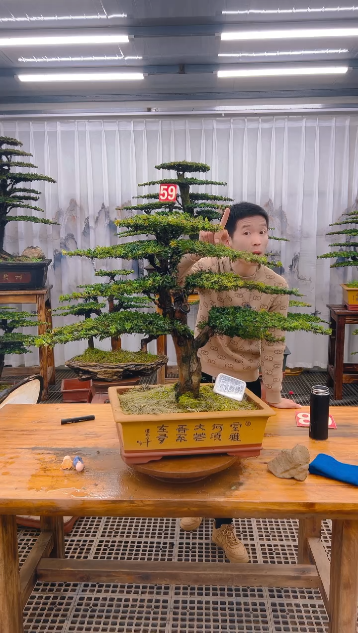 【闪购商品】紫砂精品盆景直播间一物一拍