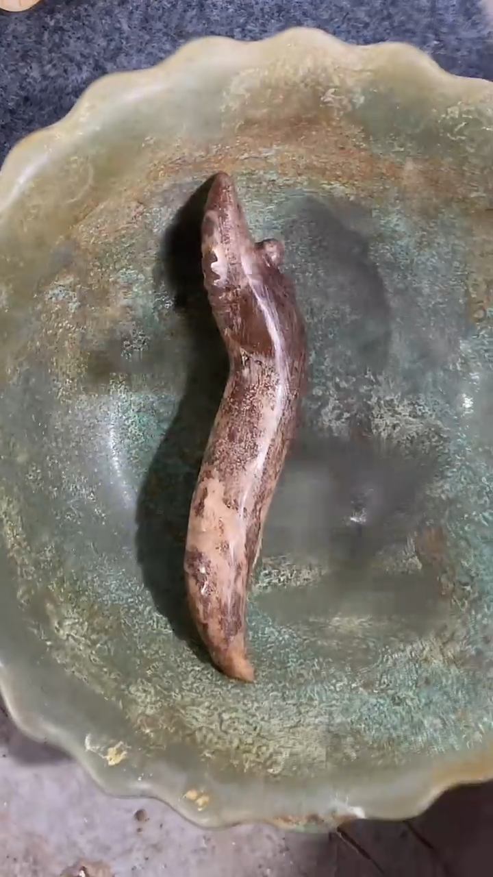 【闪购商品】瓷片手工，手绘，瓷器
