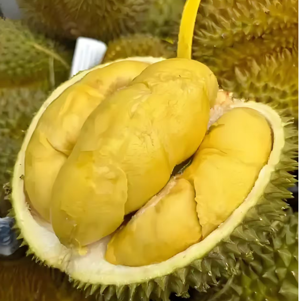 福利 泰国【R.S.K】果肉 软糯或偏软 纯正树熟-鲜榴莲核小 斤金枕泰国