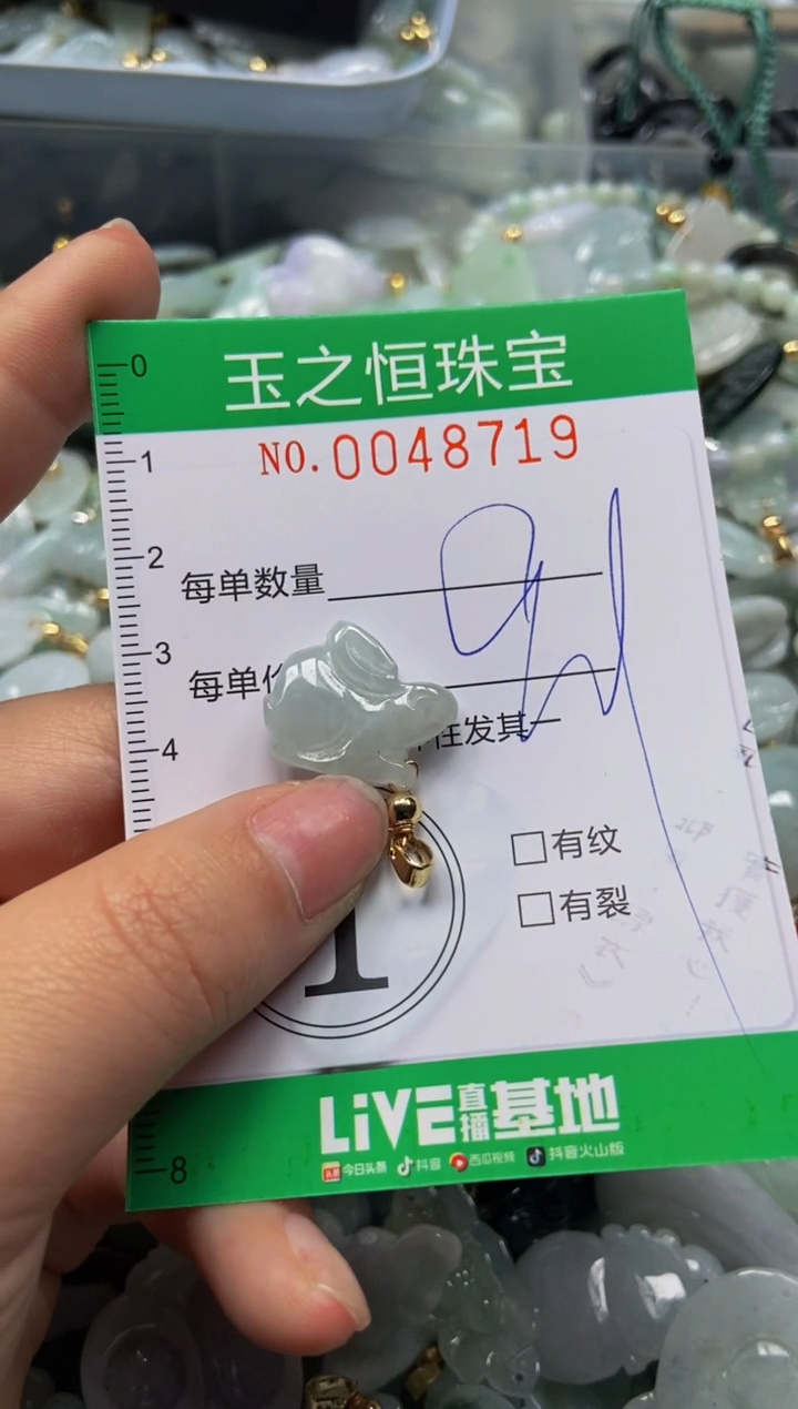 【闪购商品】翡翠颈饰未镶嵌闪购0048719