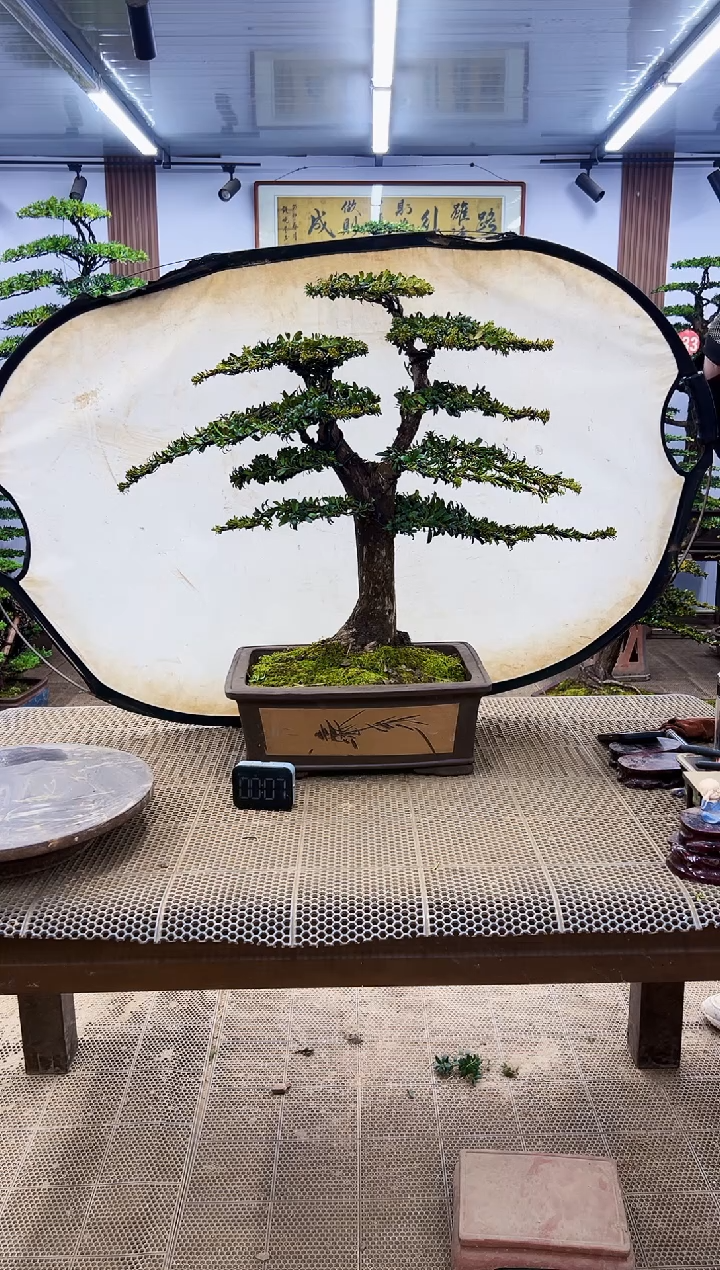 【闪购商品】000000000