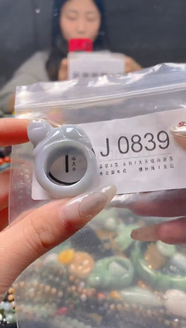 【闪购商品】翡翠颈饰未镶嵌19.8/J/翡翠A货一图一物