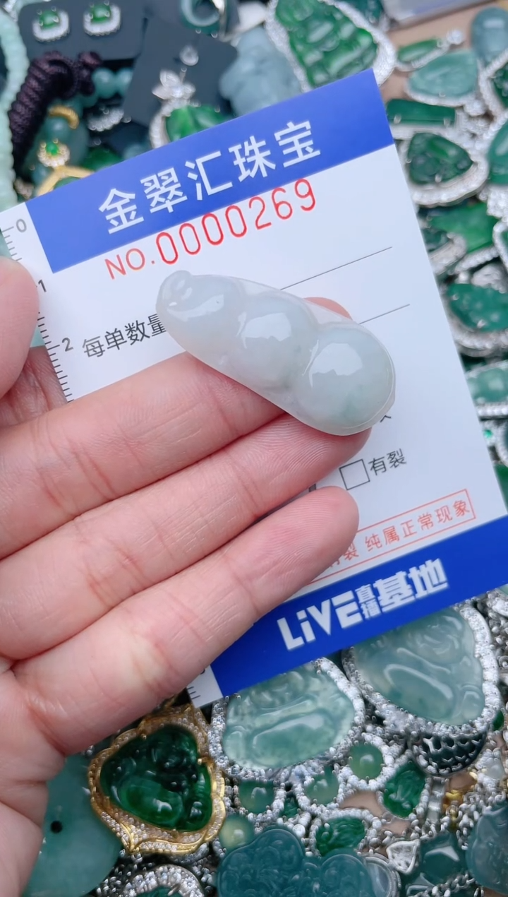 【闪购商品】翡翠颈饰未镶嵌269........