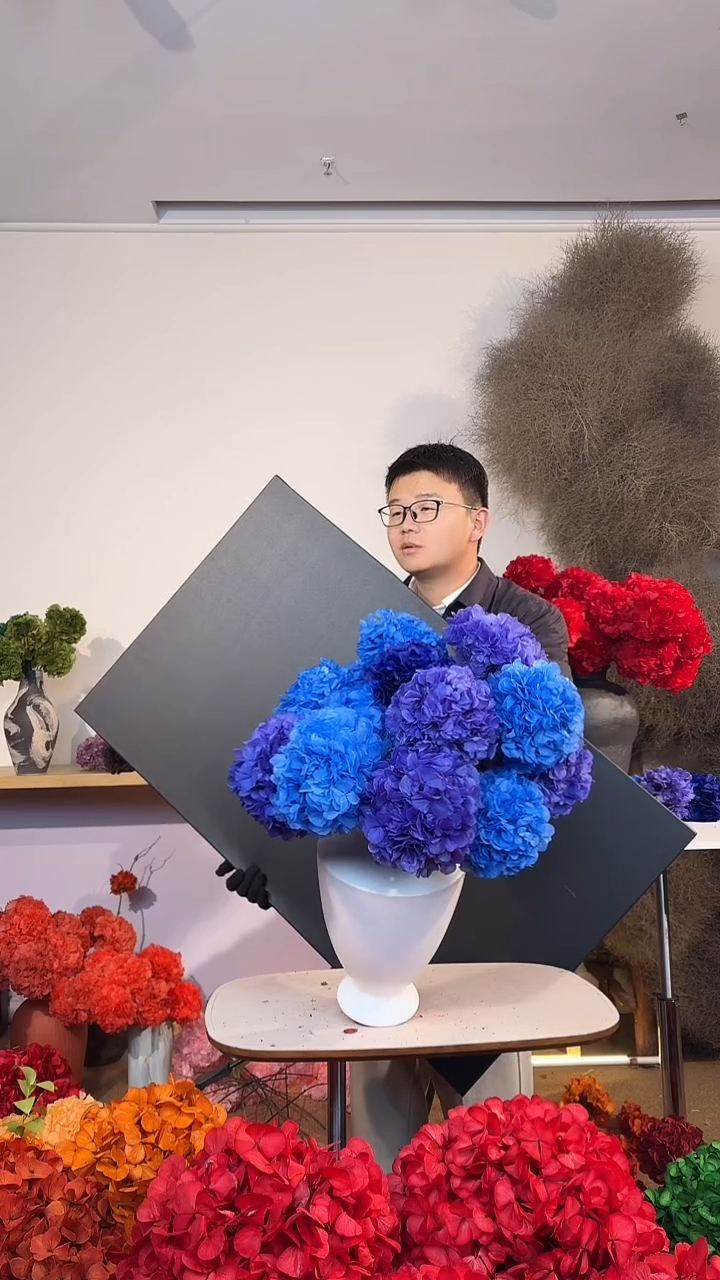 漂色永生大叶绣球花球15枝—湖蓝6/宝蓝2/天空蓝7