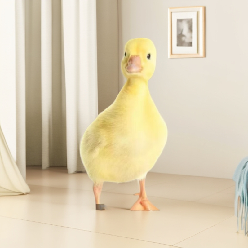 宠物定制照片画片相片相框（四季大白鹅）