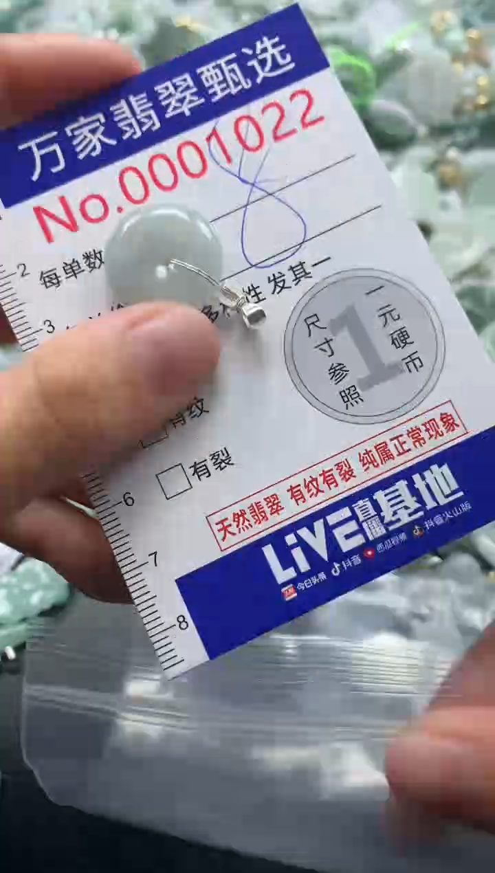吊坠(不含链)未镶嵌翡翠1022
