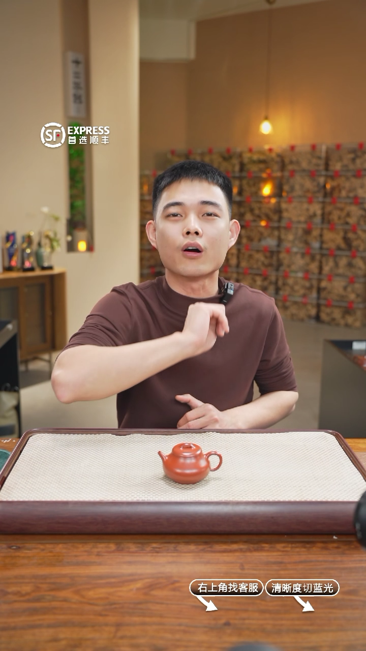 【闪购商品】紫砂茶壶1号【测试链接】