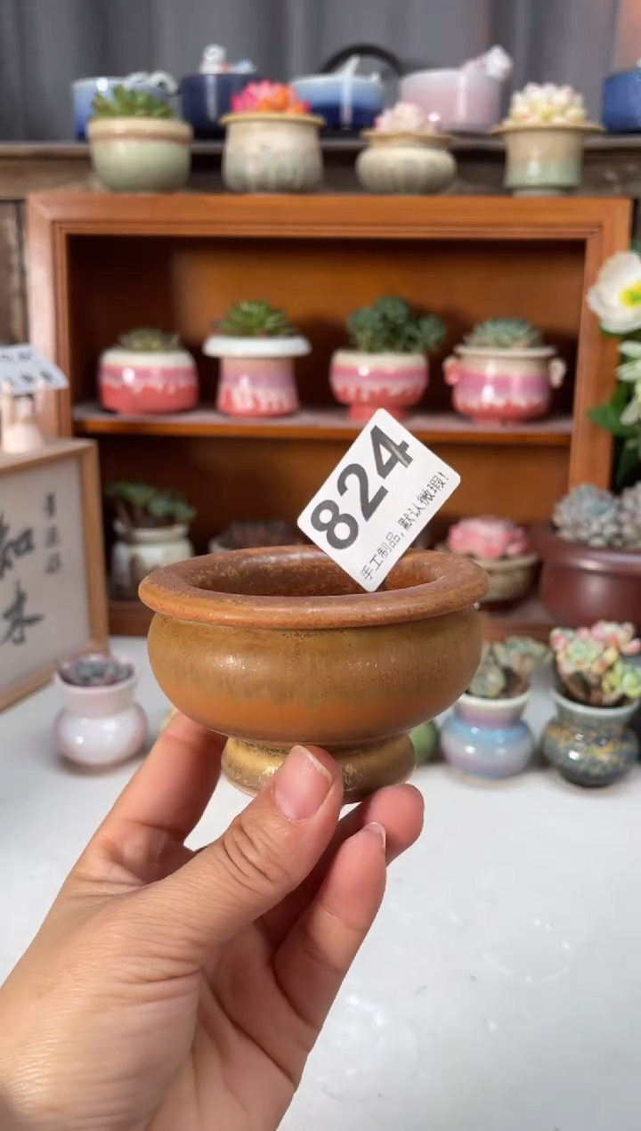 瓷片824小芳直播编号