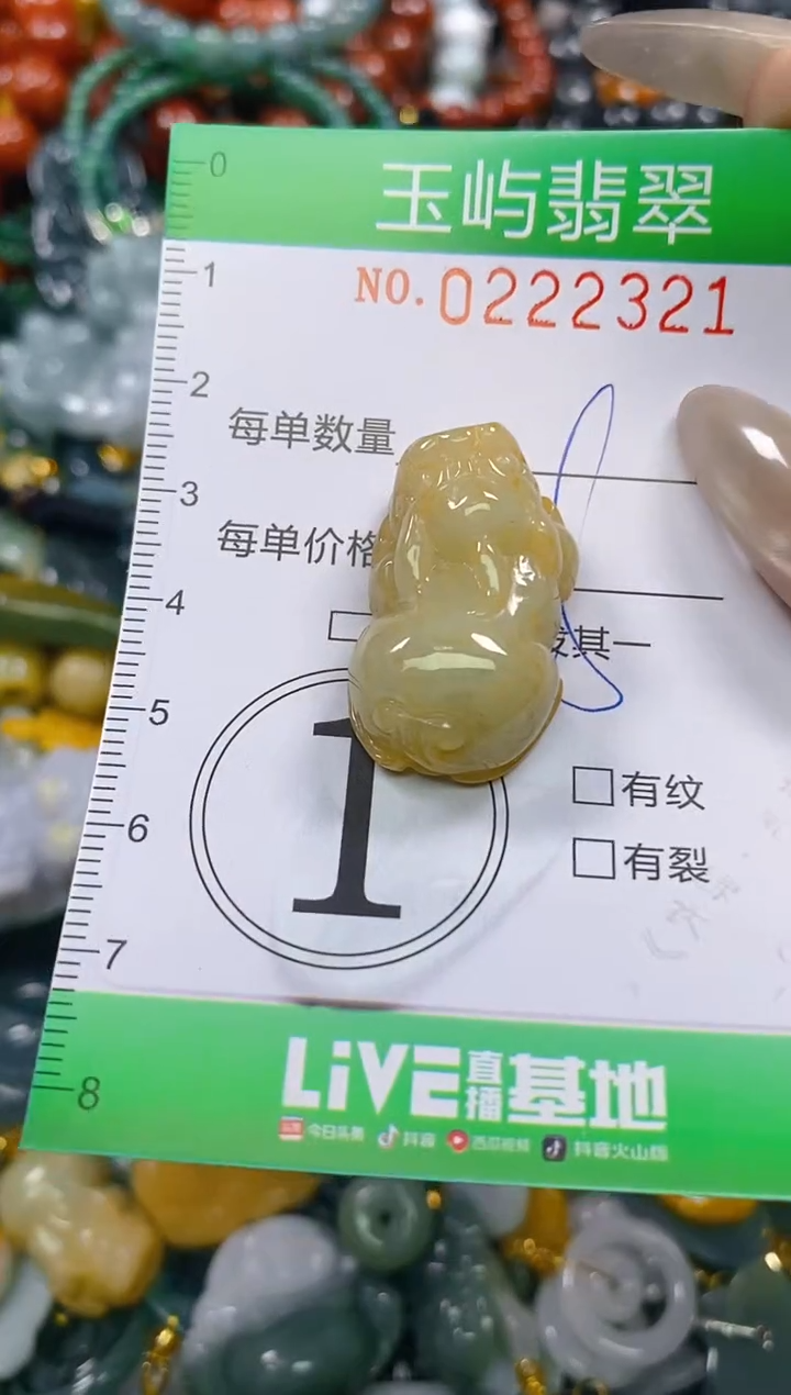 颈饰未镶嵌翡翠闪购0222321