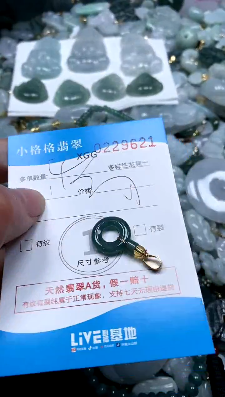 【闪购商品】翡翠颈饰未镶嵌闪购商品0229621多样性
