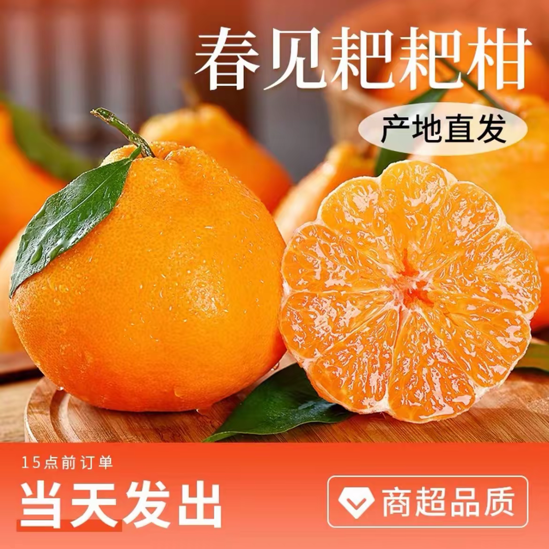 四川高山正宗春见耙耙柑（树上熟）当季新鲜水果现摘现发产地直发