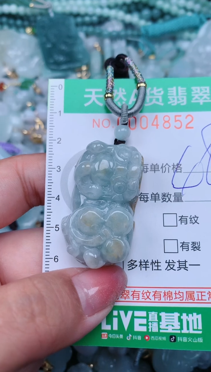 【闪购商品】翡翠颈饰未镶嵌.0004852