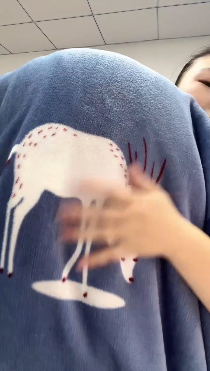 法兰绒5x2.2左右已主播介绍为准