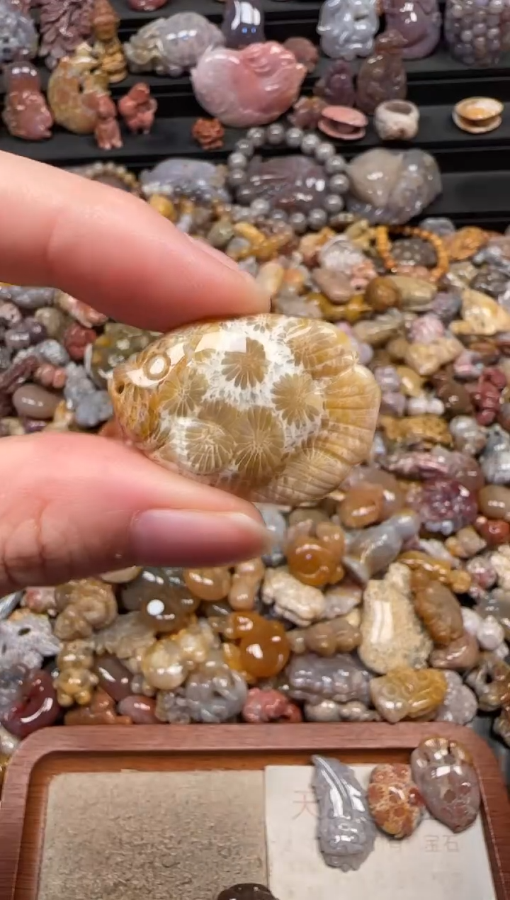颈饰未镶嵌硅化珊瑚（珊瑚玉）199