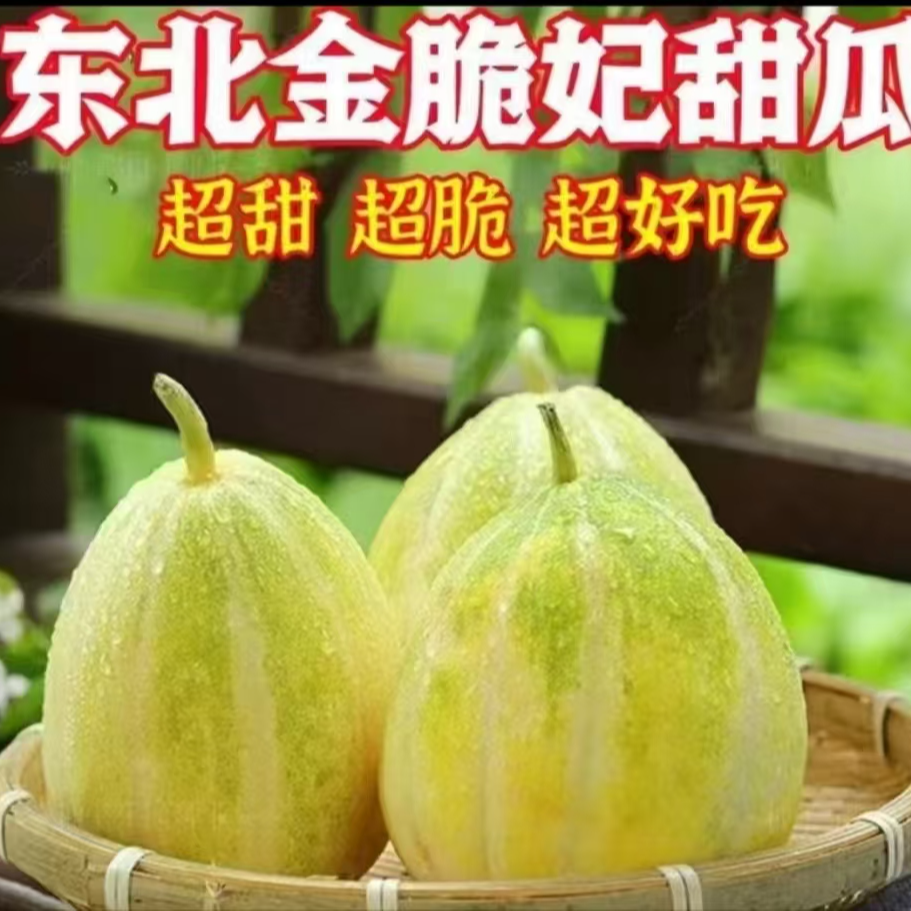 东北特产【铁巴青金妃香瓜脆甜瓜拍3斤送2斤】东三省顺丰包邮新鲜