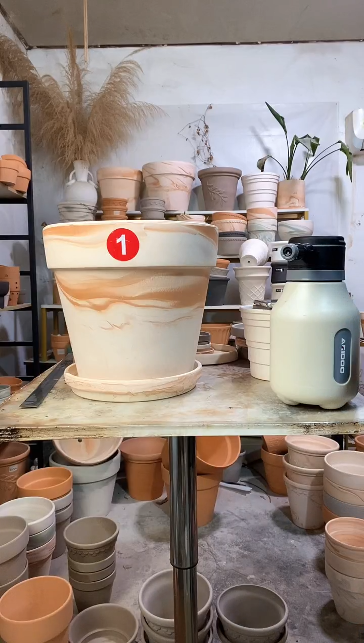 30*27玛奇朵 1盆1托