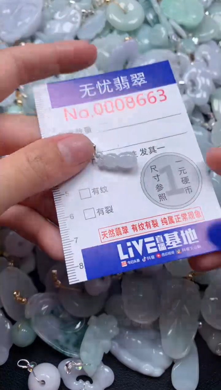 颈饰未镶嵌翡翠8663