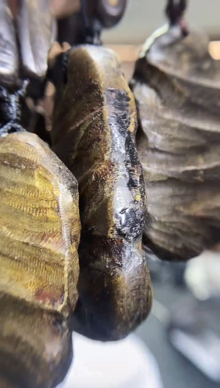 沉香沉香碎屑4虫漏