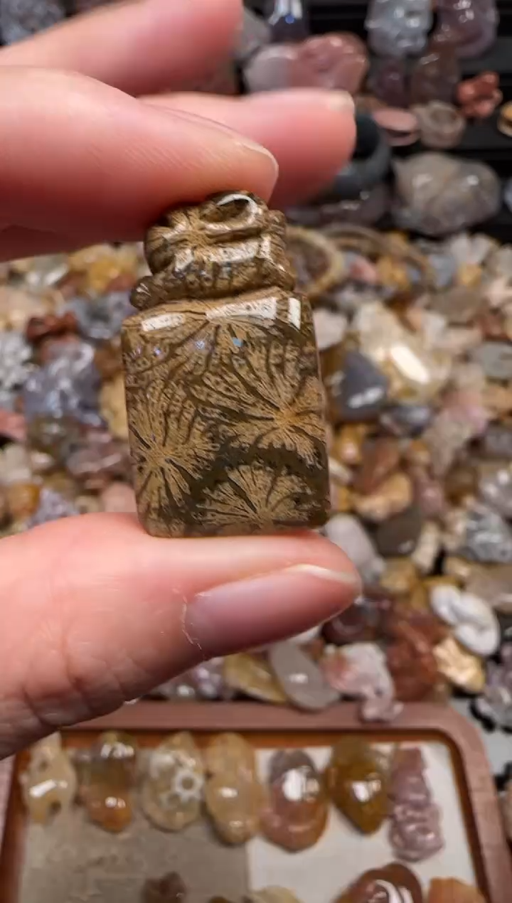 颈饰未镶嵌硅化珊瑚（珊瑚玉）134