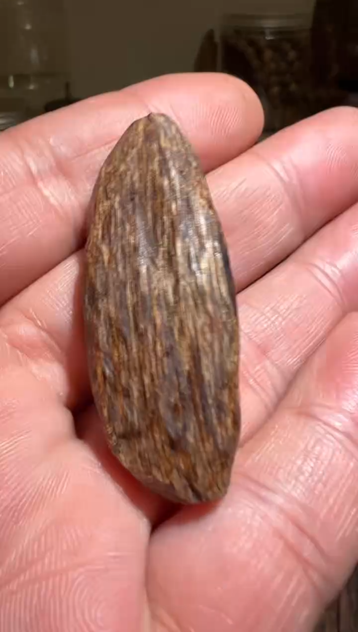 【闪购商品】沉香手把件东马软丝2.6克