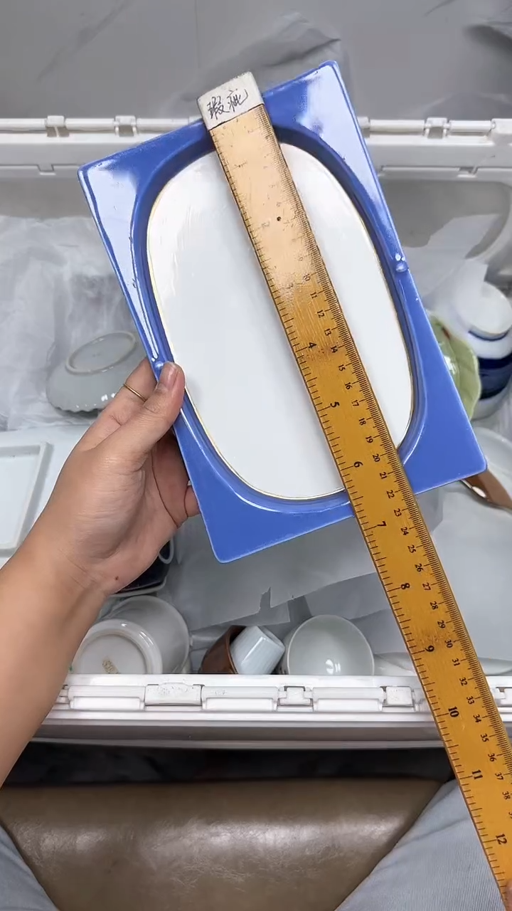 【闪购商品】459回流瓷器默认微瑕，18.8包邮