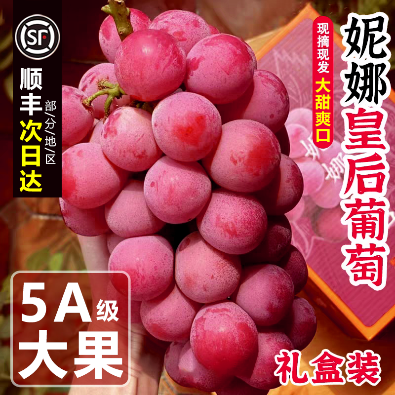 正宗妮娜皇后葡萄美味香甜当季新鲜大颗粒无籽孕妇水果顺丰包邮