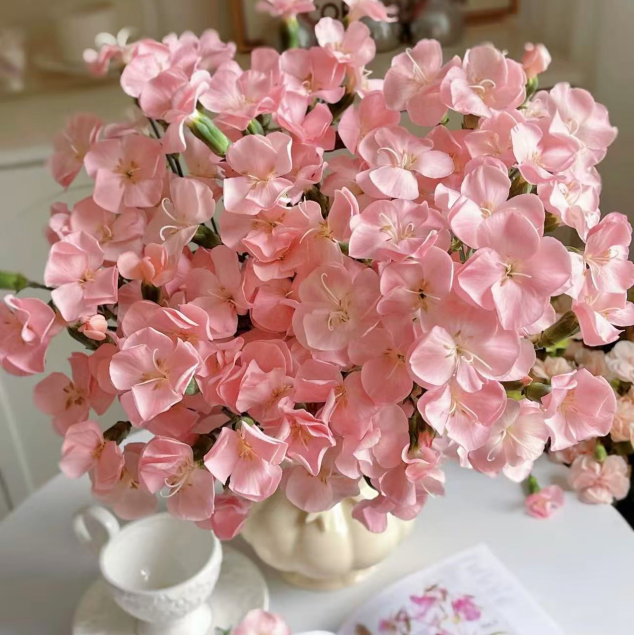 【陌上花开】娑罗蜜儿多丁康乃馨-多丁康乃馨