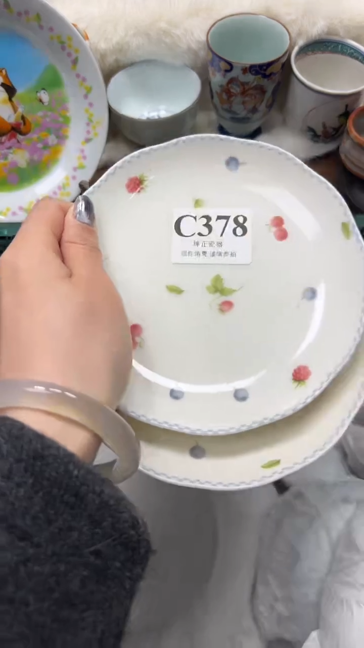 【闪购商品】瓷片          C378