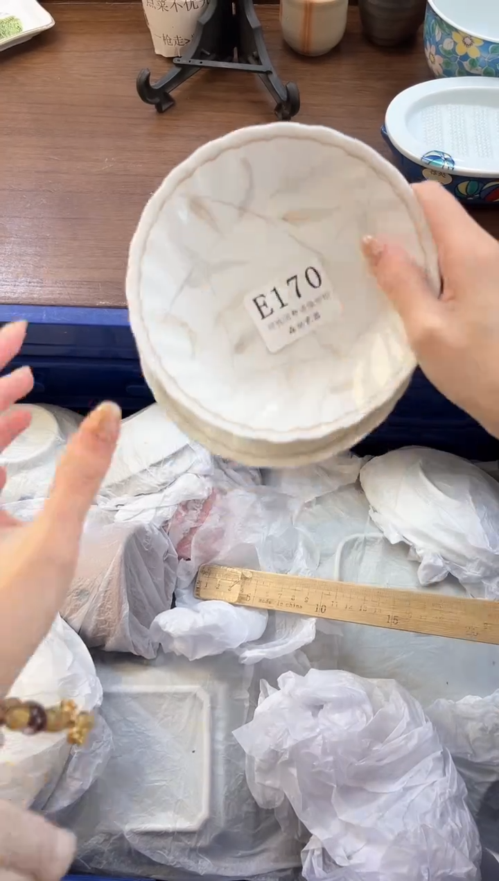 【闪购商品】瓷片----------E170