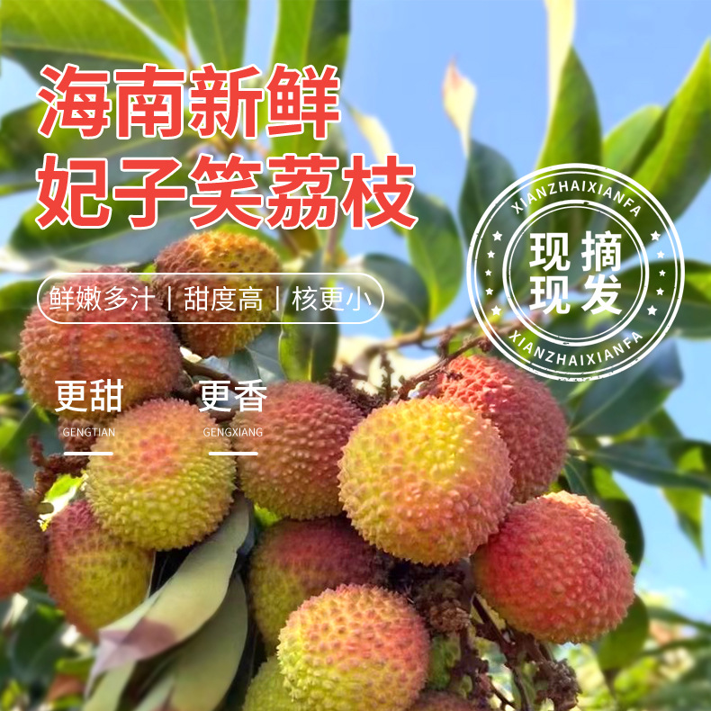 【助农】顺丰冷链海南直发头茬新鲜妃子笑荔枝老树大果核小细腻多汁