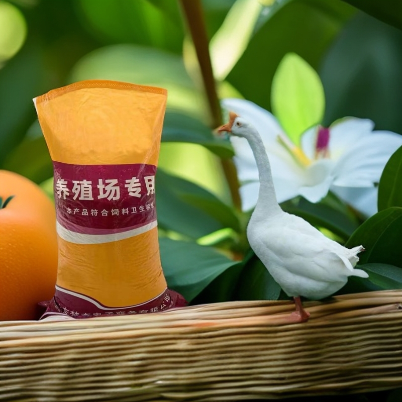 家禽专用饲料 顺丰包邮
