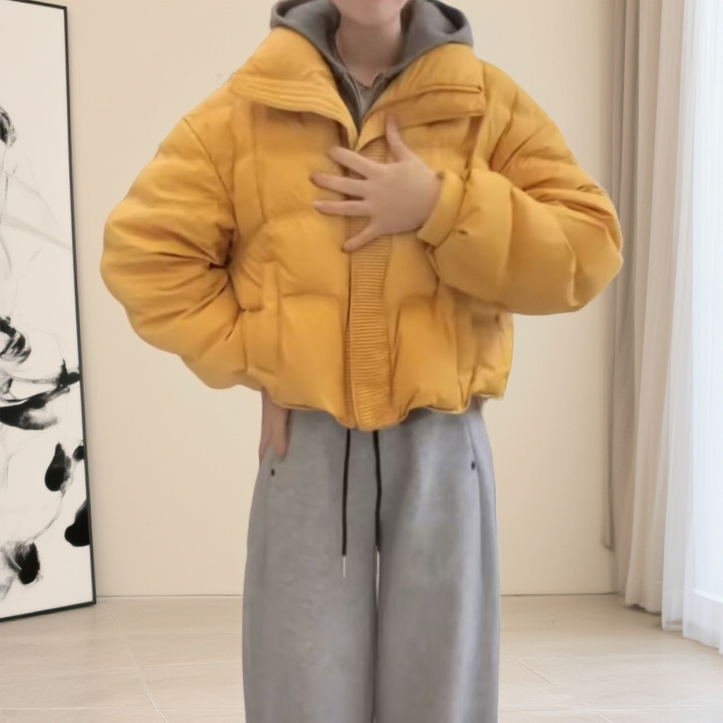 立领白鸭绒百搭合格品短款拉链翻领女保暖加厚女装休闲时尚网红