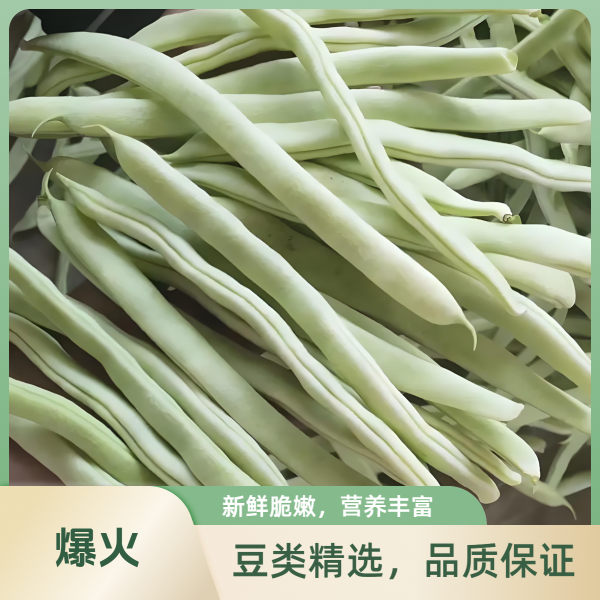 新鲜白芸豆4斤【自种现摘现发】顺丰快递白芸豆