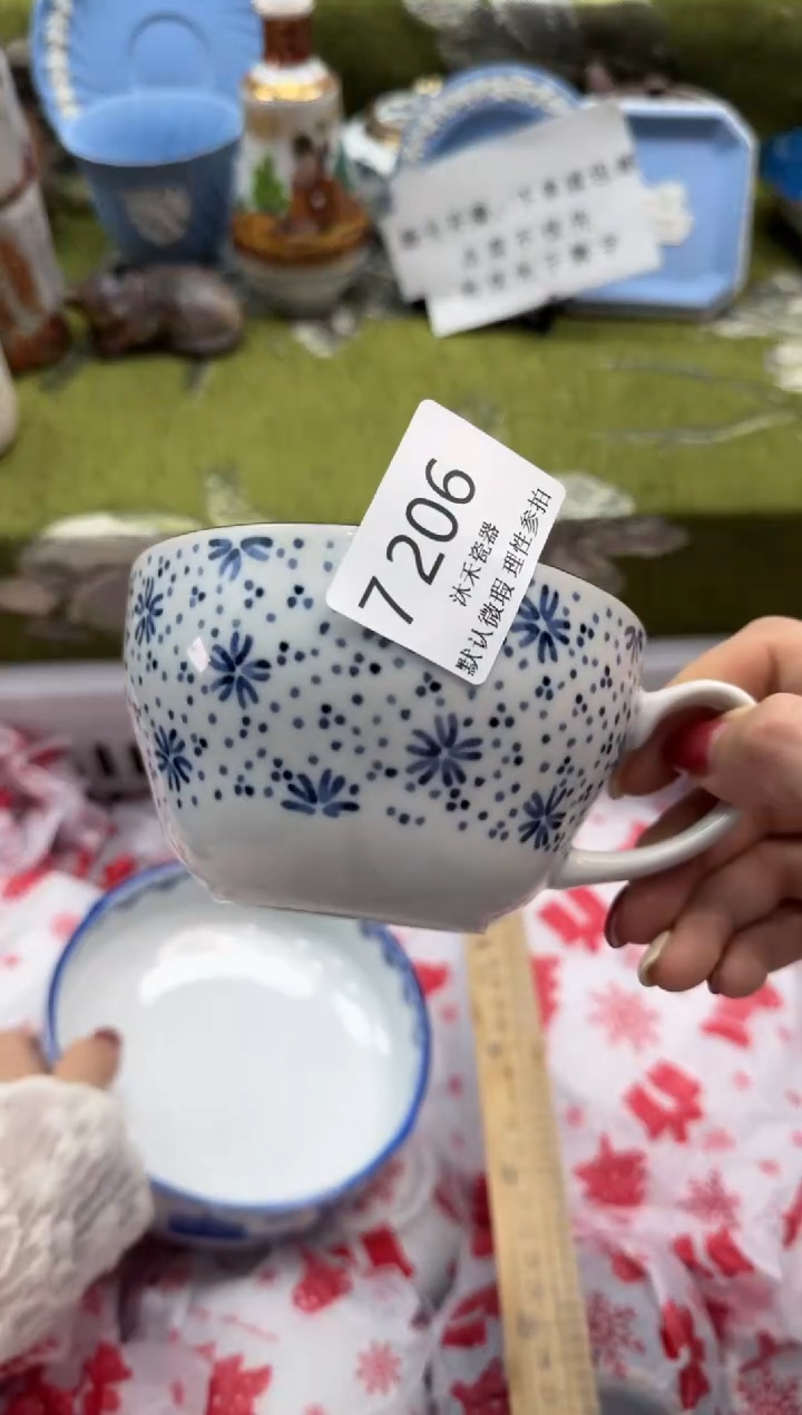 瓷片一**花瓷片 7 206