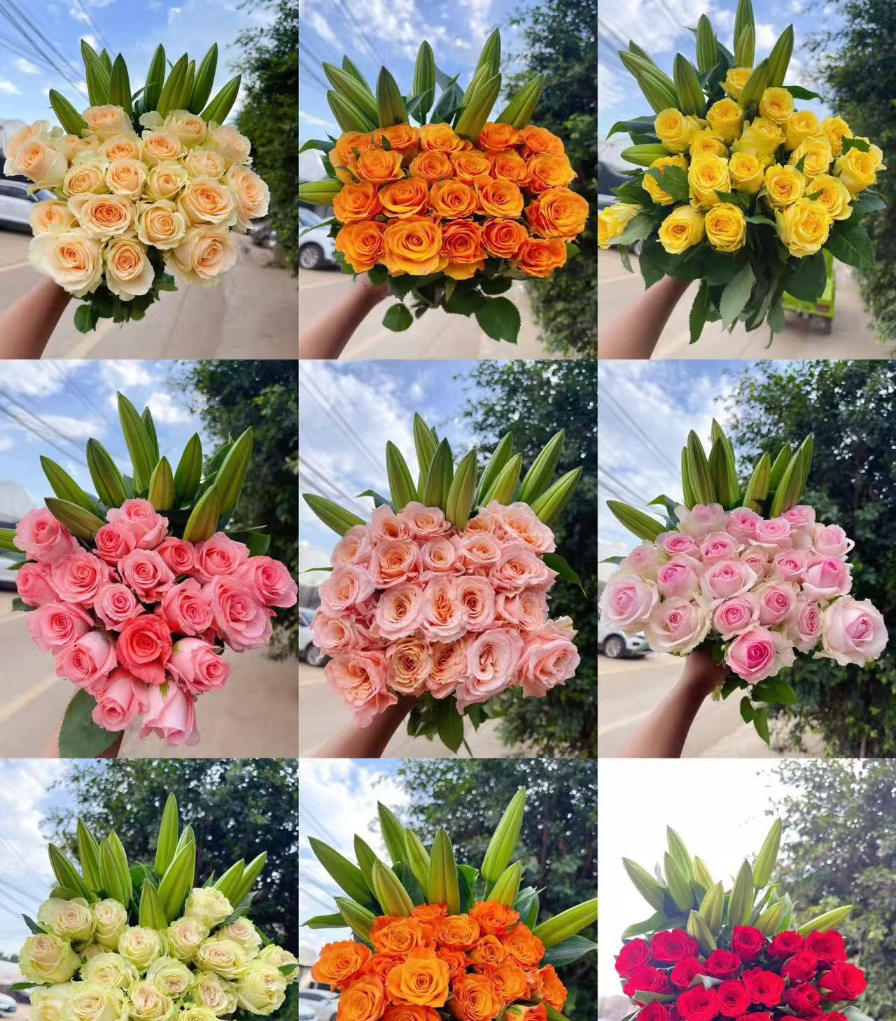 A2套餐：戴安娜+艾莎+洛神+香水百合+碎冰蓝折射+橙芭比+尤加利