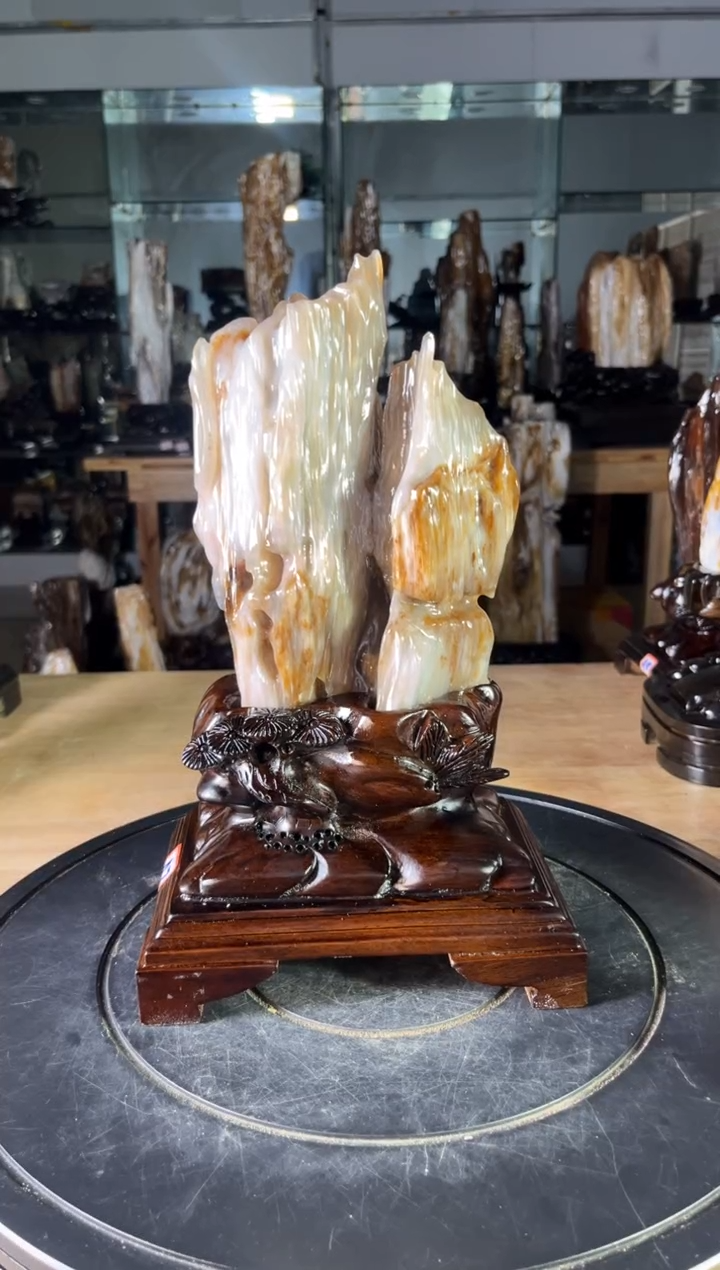 【闪购商品】硅化玉珠宝奇石未镶嵌1