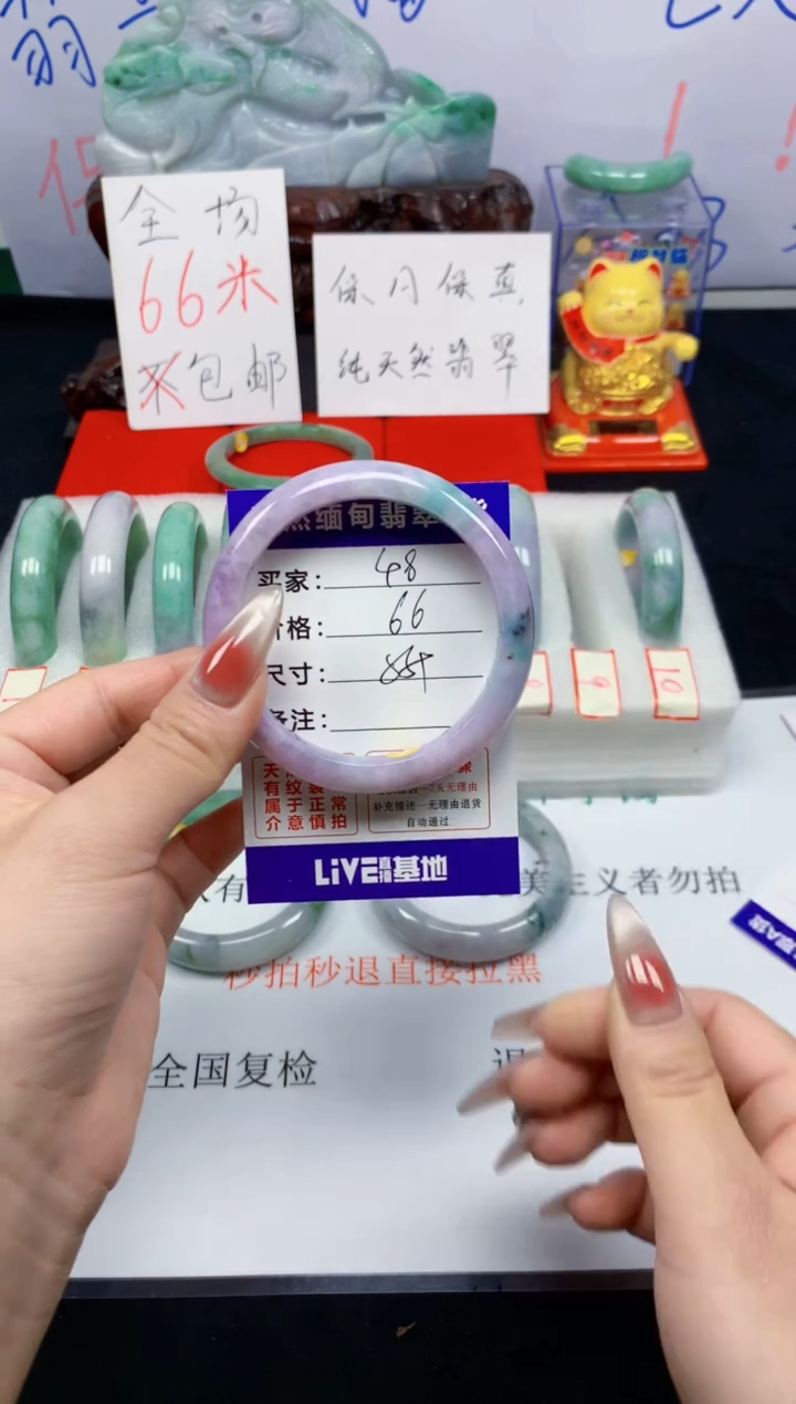 未镶嵌手镯翡翠48