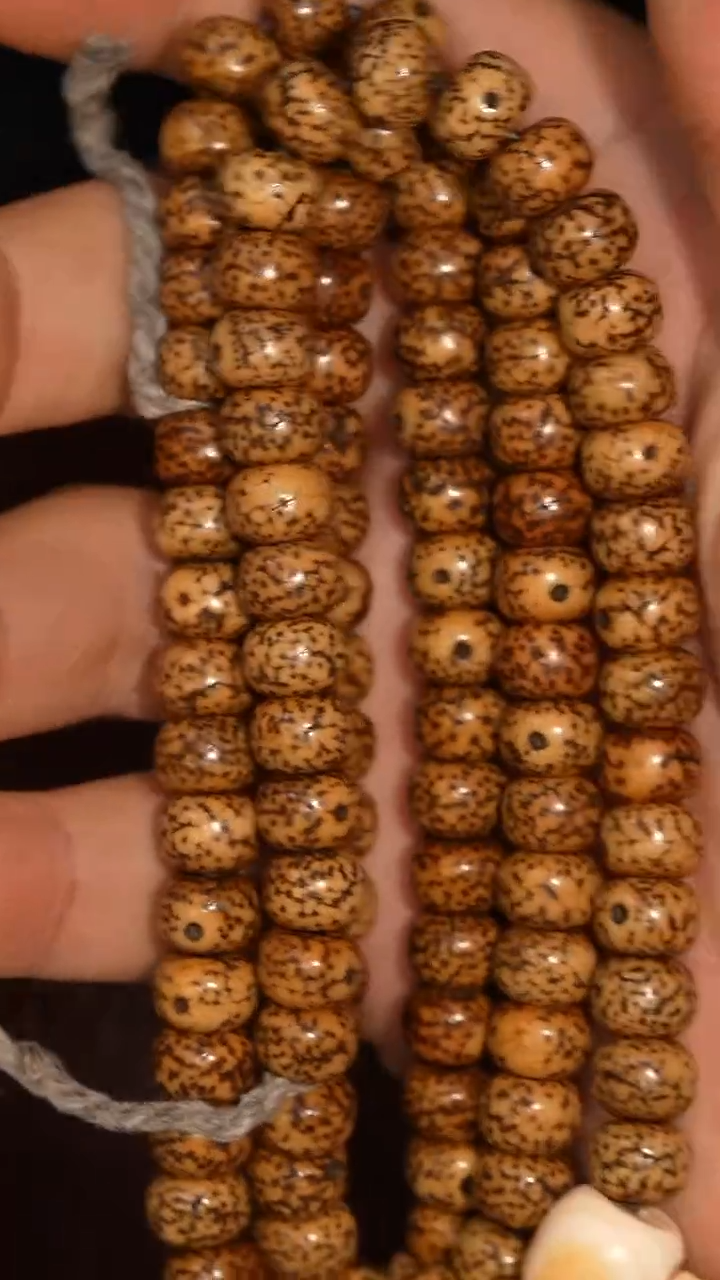 冲赛康胡子哥，藏传念珠229