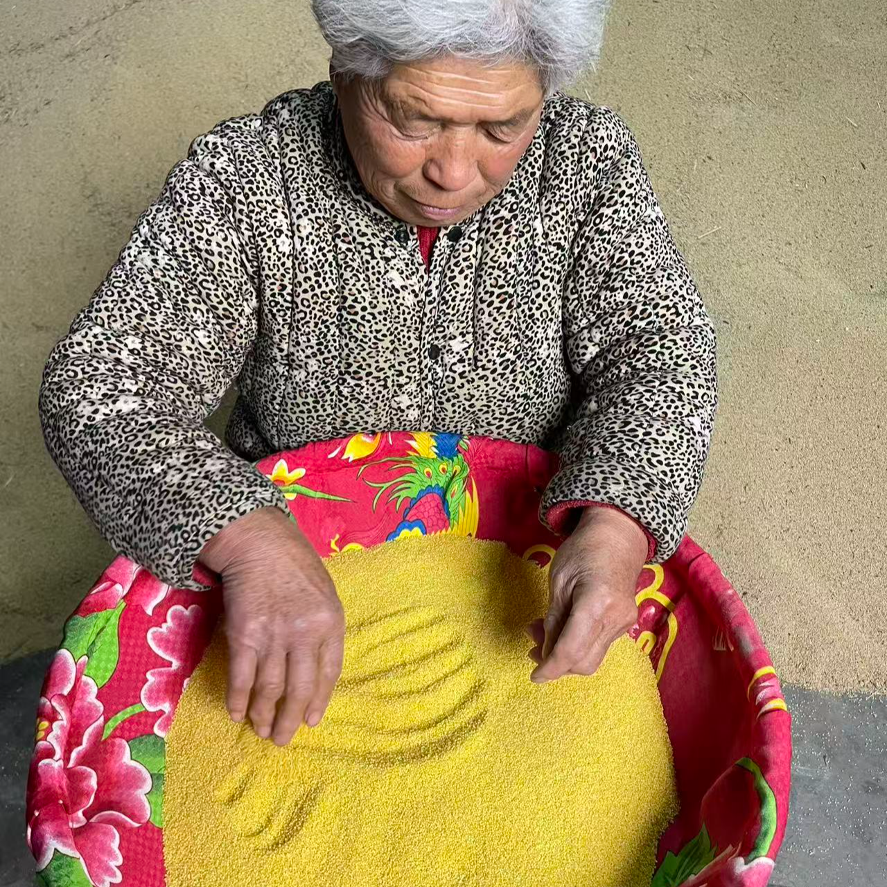 现磨现发   2025新小米  山西绛州黄小米 净重5斤