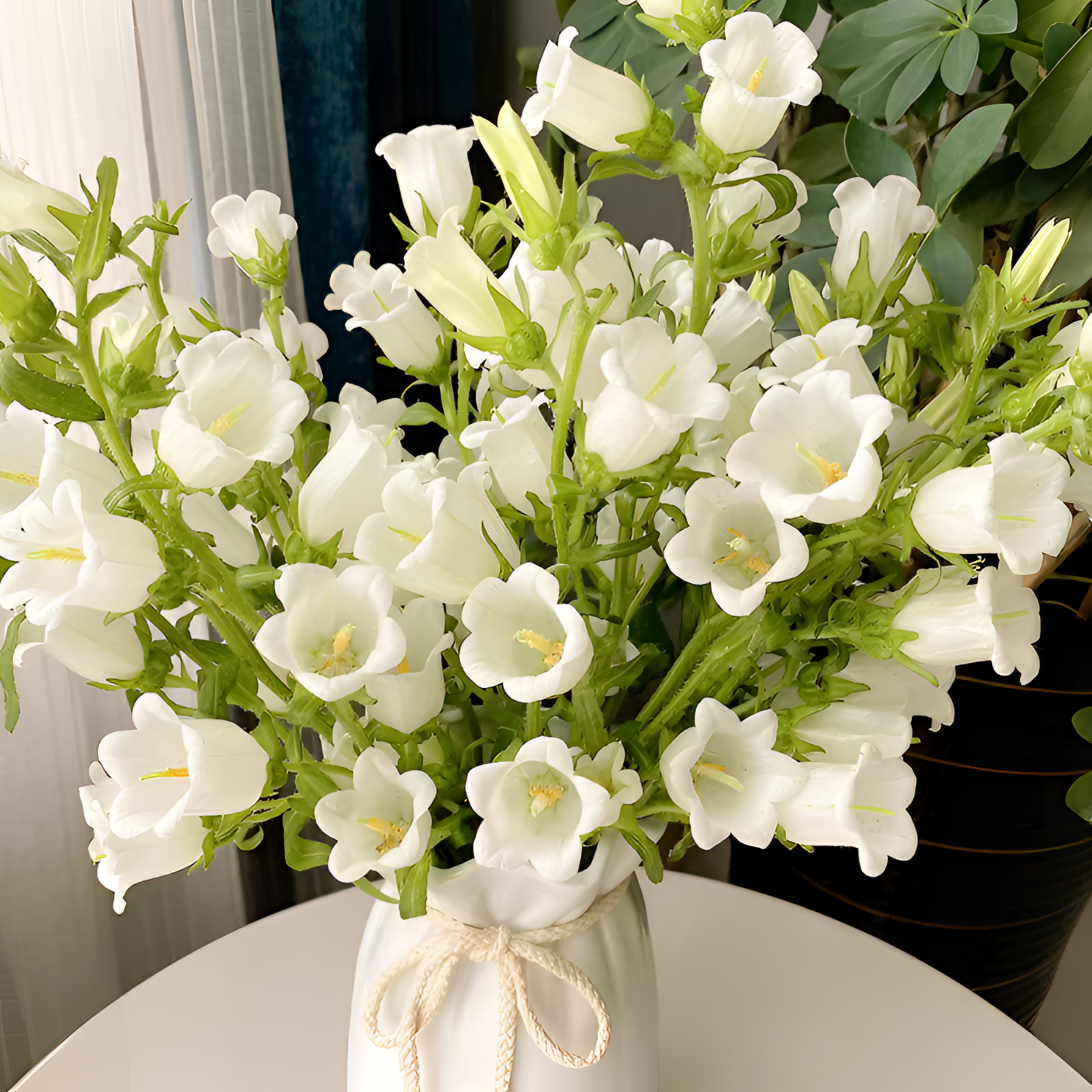 【银座鲜花】风铃花 白配花原装整扎若干支每扎2单包邮鲜切花家居花生活鲜花