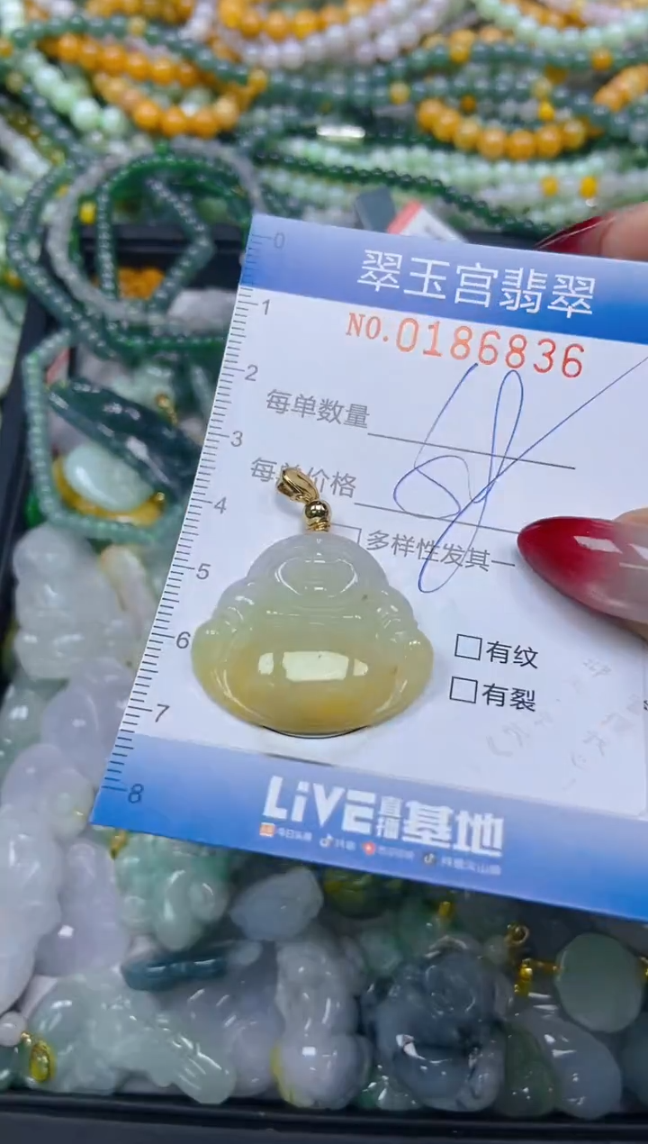 翡翠未镶嵌颈饰闪购0186836