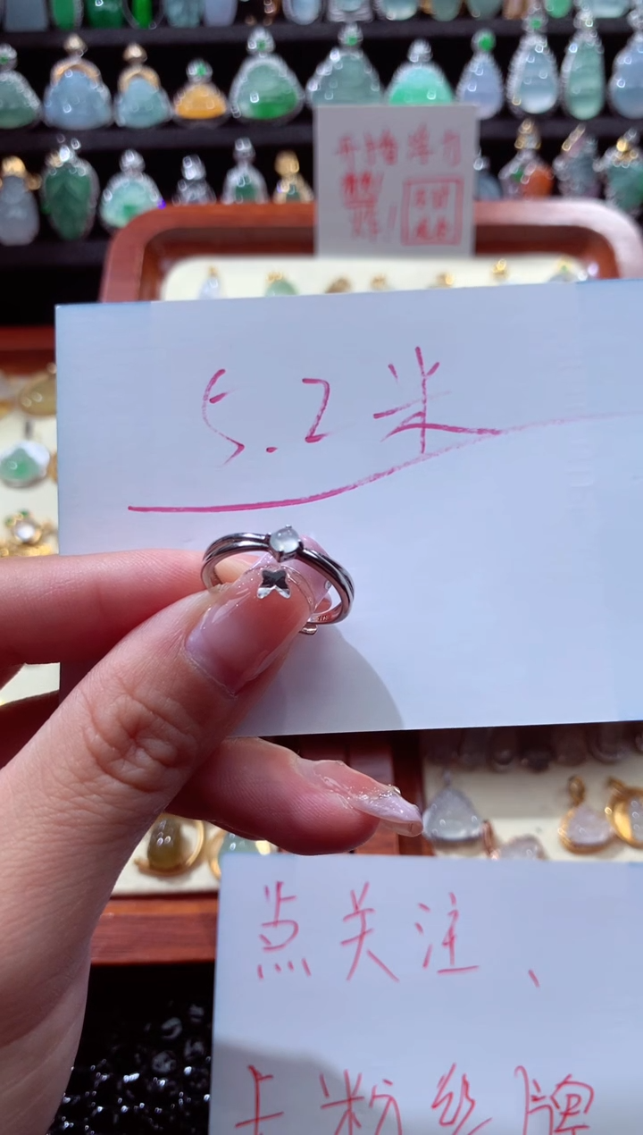 【闪购商品】翡翠颈饰未镶嵌戒子