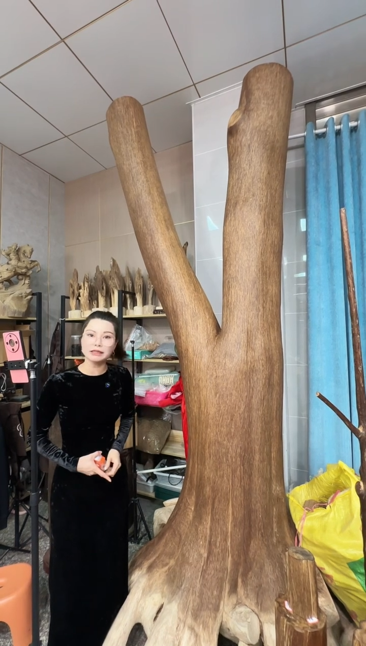 沉香摆件杨*沉香原料 七天无理由