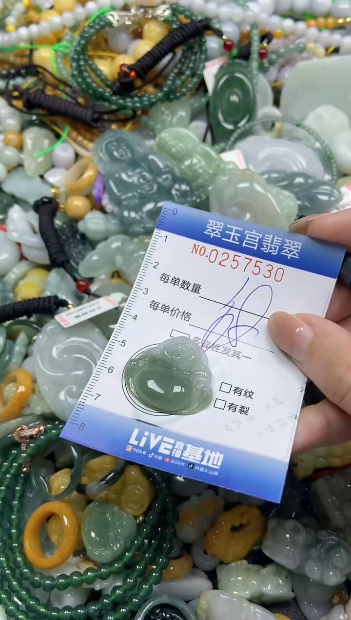 颈饰未镶嵌翡翠闪购C0257530