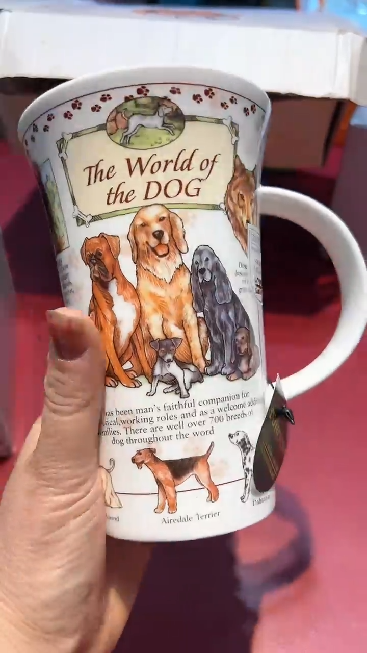 【闪购商品】瓷片锅碗瓢盆一件不剩